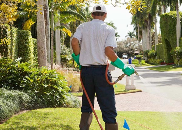 About New London WI Pest Control